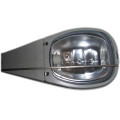 Street Light (DS-202)